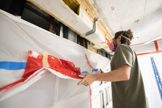 Best Basement Mold Removal  in Moosic, PA